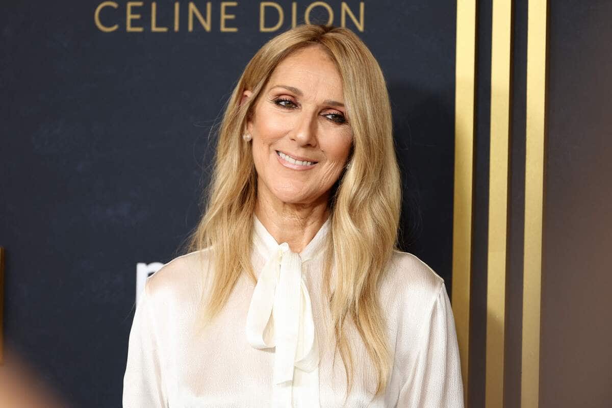 Céline Dion: un potentiel retour avec une chanson signée d'une vedette  française | JDM