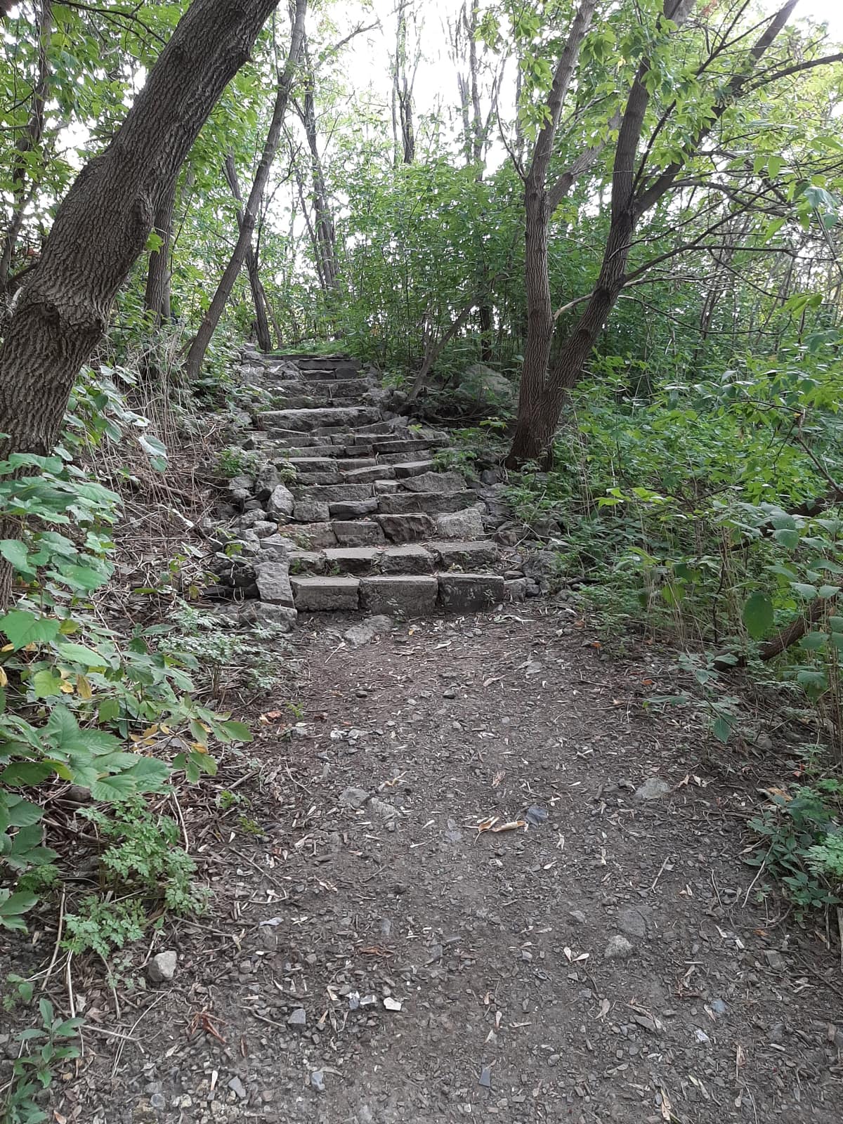 La Ville &eacute;largit la protection de deux espaces verts dans l&rsquo;est de Montr&eacute;al