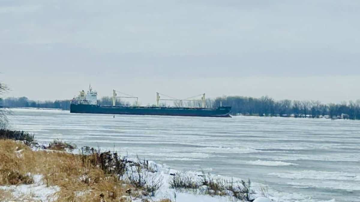 Bateau échoué dans le fleuve Saint-Laurent: une nouvelle tentative de remorquage pourrait débuter le 1er janvier