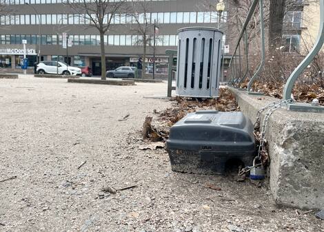 Quebec Rats «Ils sont chez eux»: une place publique infestée de rats à Montréal ...