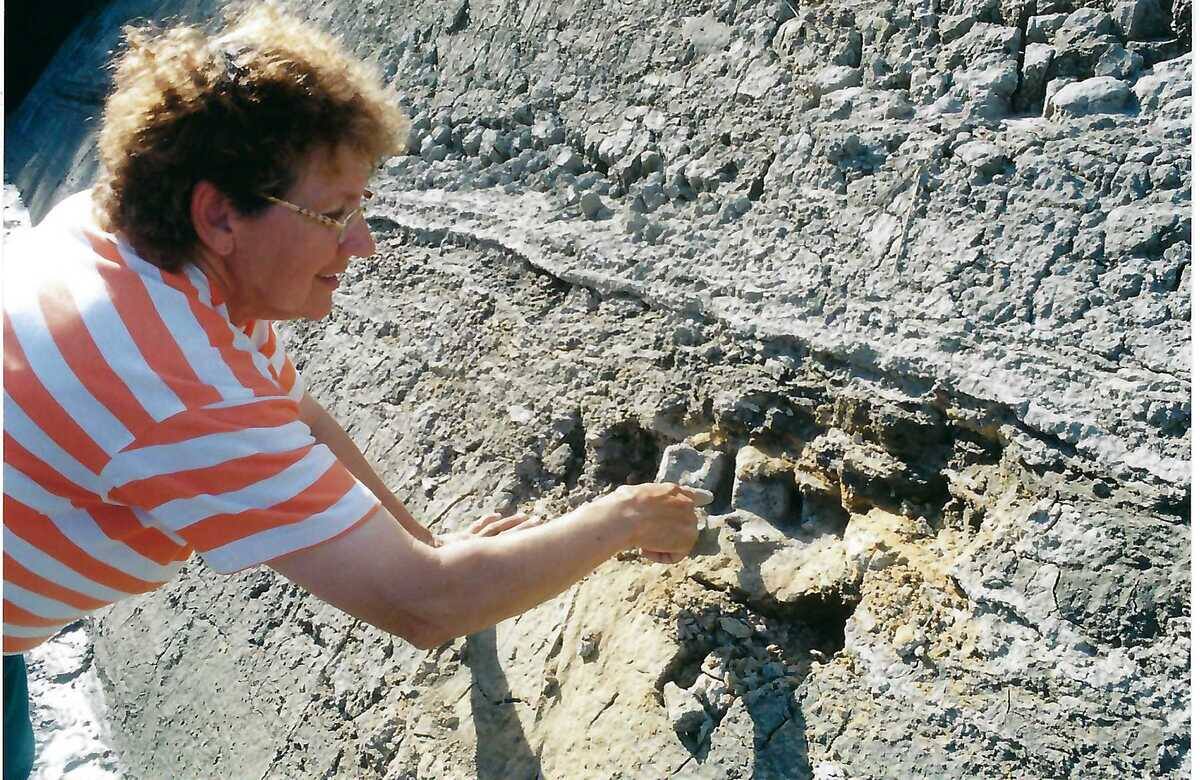 L'histoire de Félix le béluga pour la sauvegarde de l'espèce | JDM