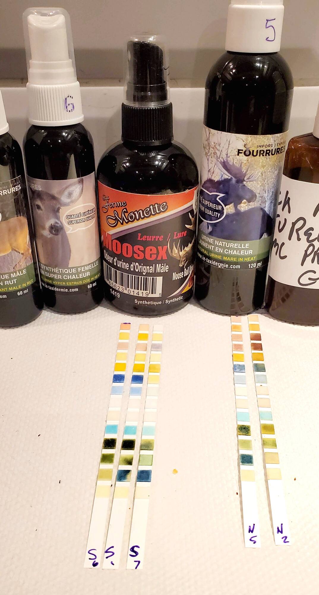 Bordure Pendante Perlée Multicolore, Bordure En Dentelle à