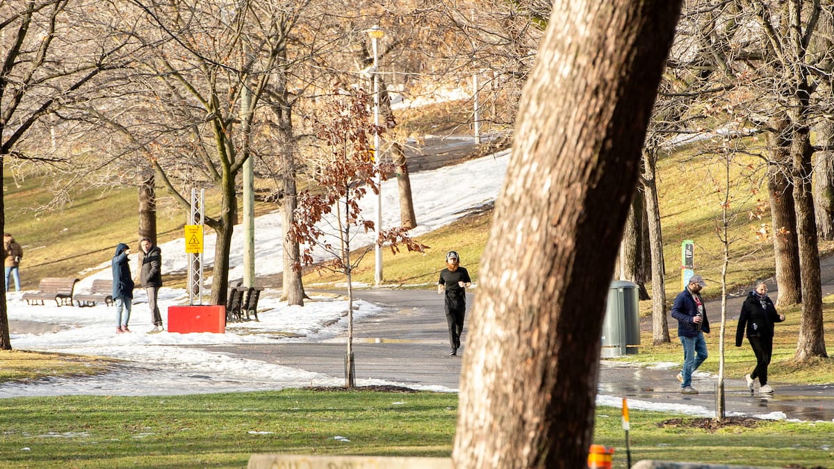 Un record de chaleur pour clore 2024