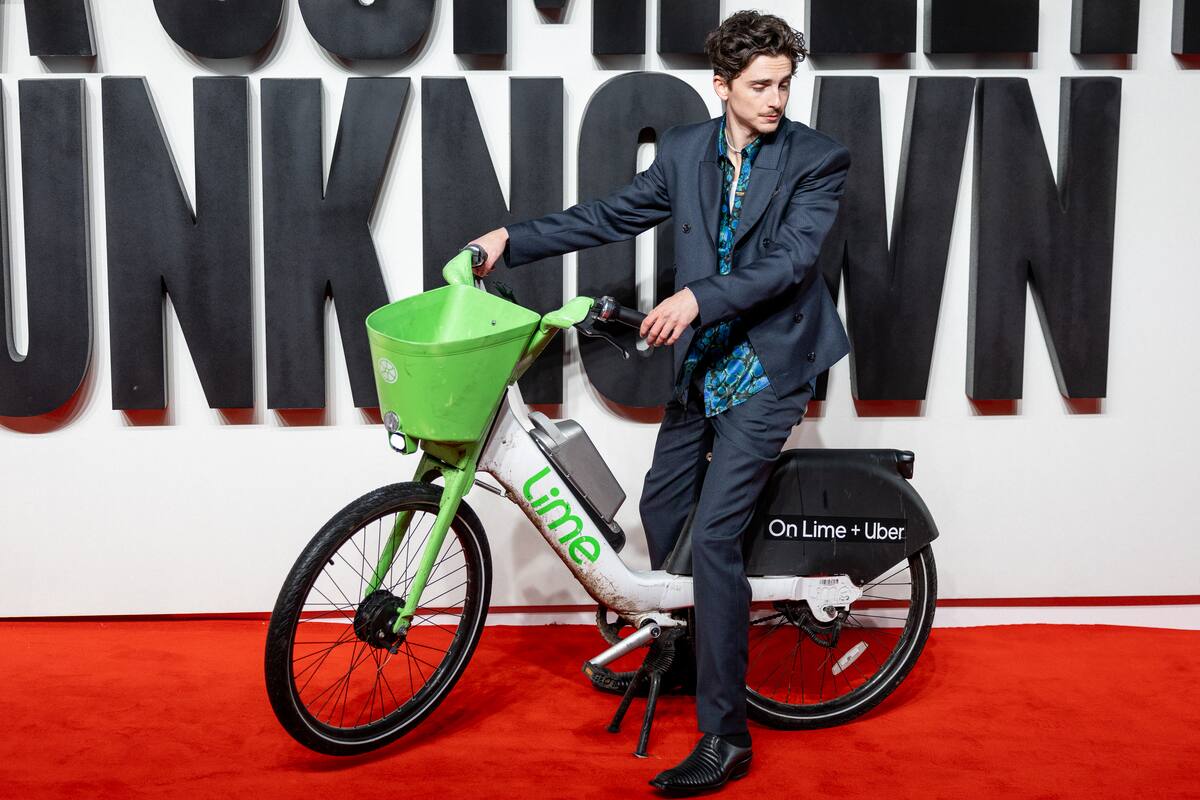 [À VOIR]  Timothée Chalamet llega en bicicleta a la alfombra roja de la película “Un perfecto desconocido”