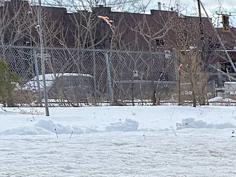 État des routes au Québec : « Il va y avoir encore plus de nids - de - poule », avertit CAA - Québec