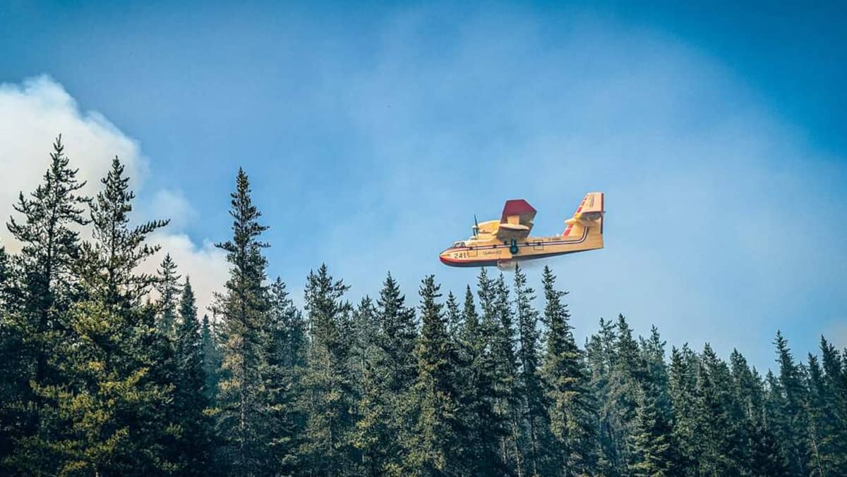 Trois gestes à éviter pour prévenir les feux de forêt