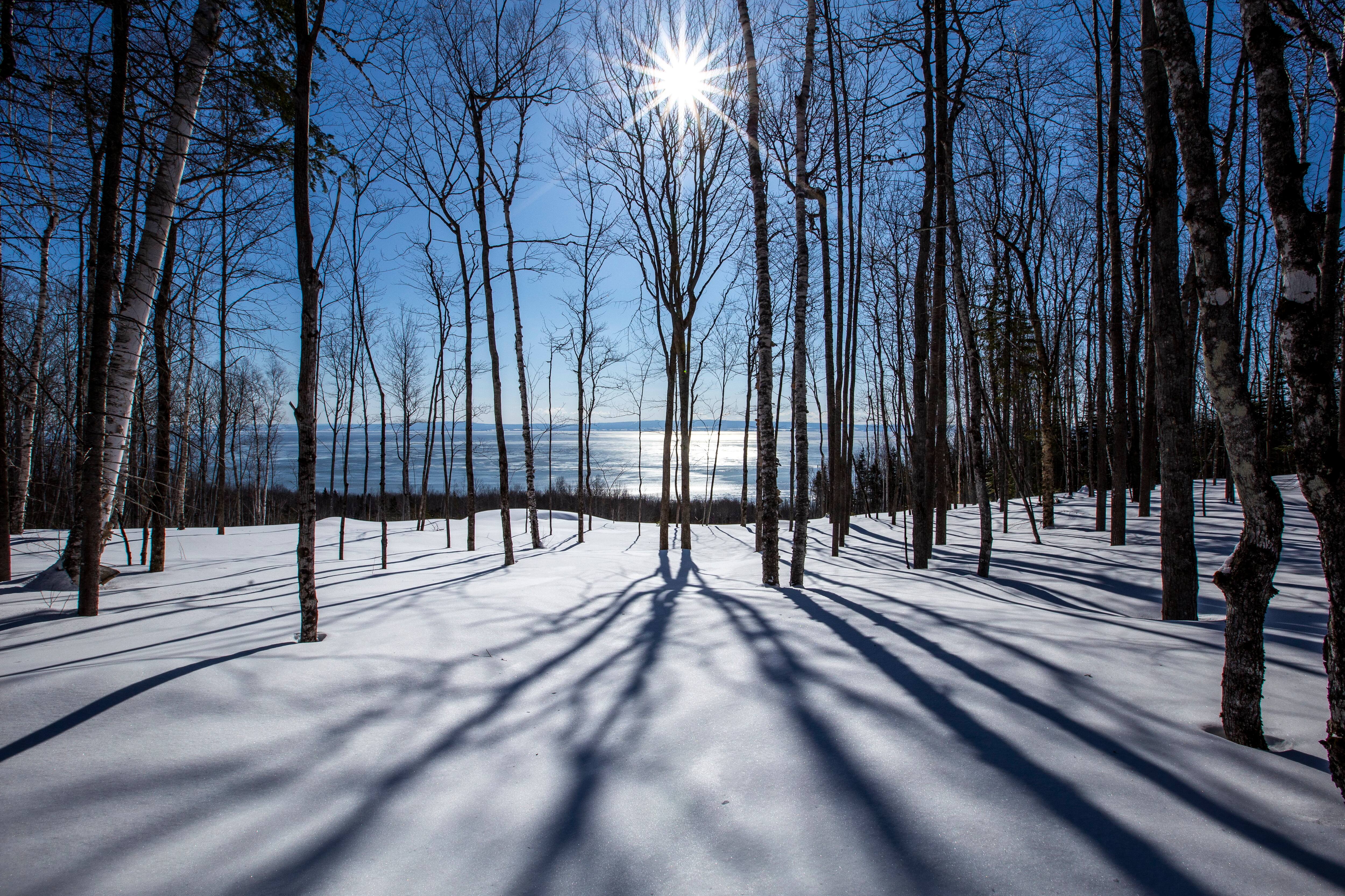 Le parc de la Petite-Rivière-Saint-François sera développé au courant de l'année 2027 et accessible dès le printemps de la même année.

Photo: Philippe Ruel Photographie
Déposée le 6 mai 2026