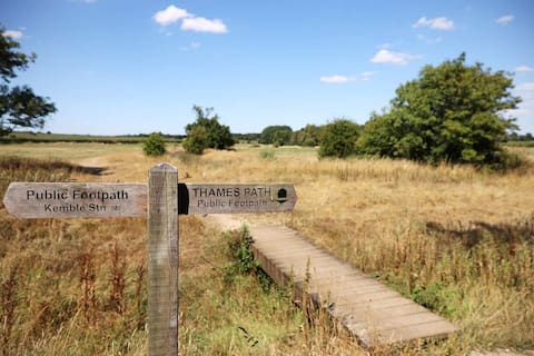 Kuraklık: Thames Nehri nereye gitti?