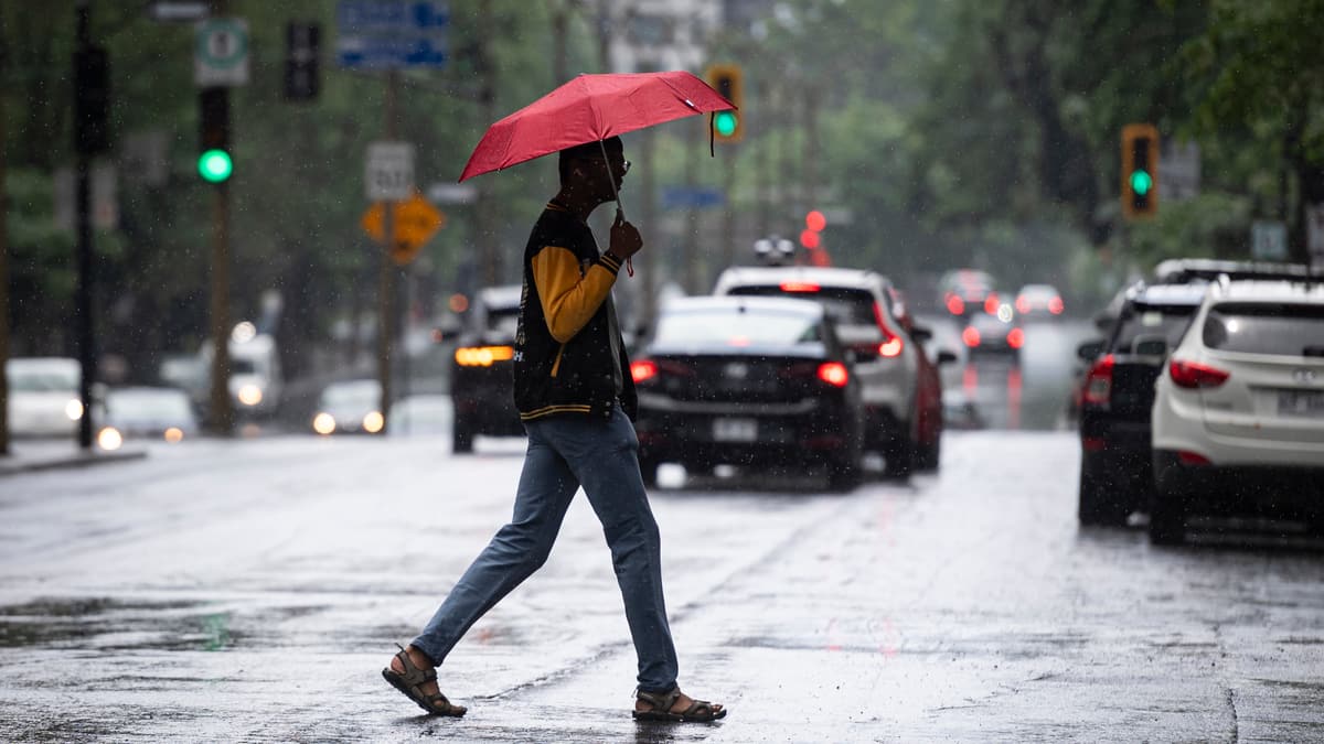 «Ça va être bon pour nos rivières»: de la pluie à prévoir pendant plusieurs jours dès dimanche