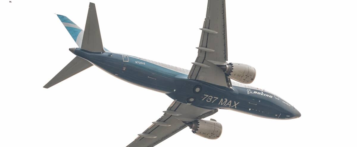 Aircraft pilots severely affected by the pandemic 1