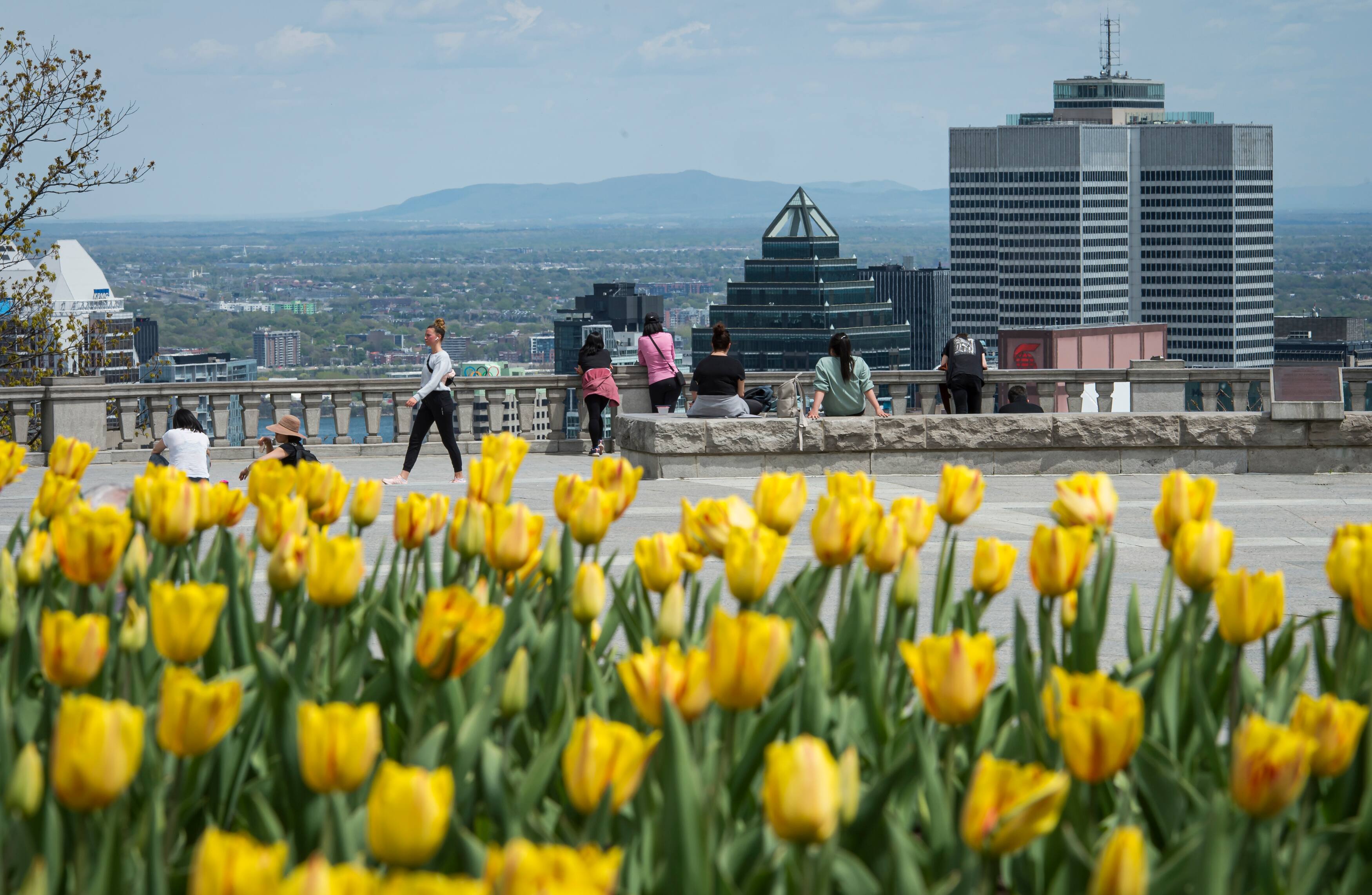 Montr&eacute;al perd ses habitants au profit des r&eacute;gions