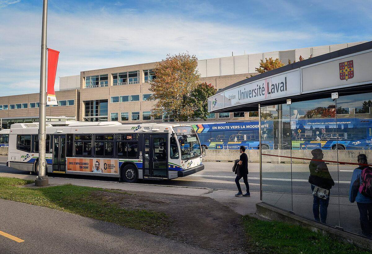 Un Prof De L Universite Laval Accuse De Possession De Pornographie Juvenile Jdq