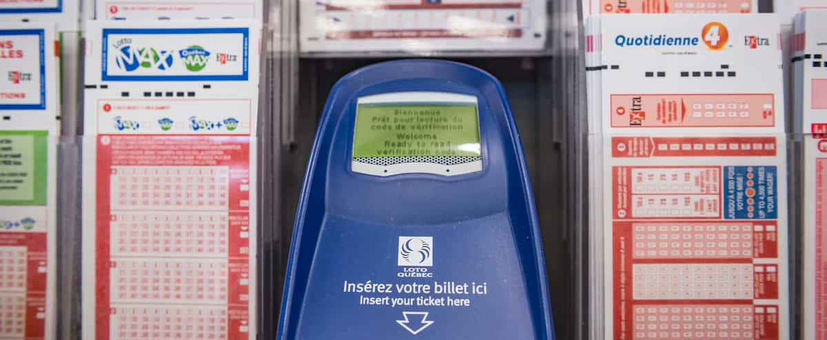 Voici la liste des numéros qui sortent le plus à la loterie