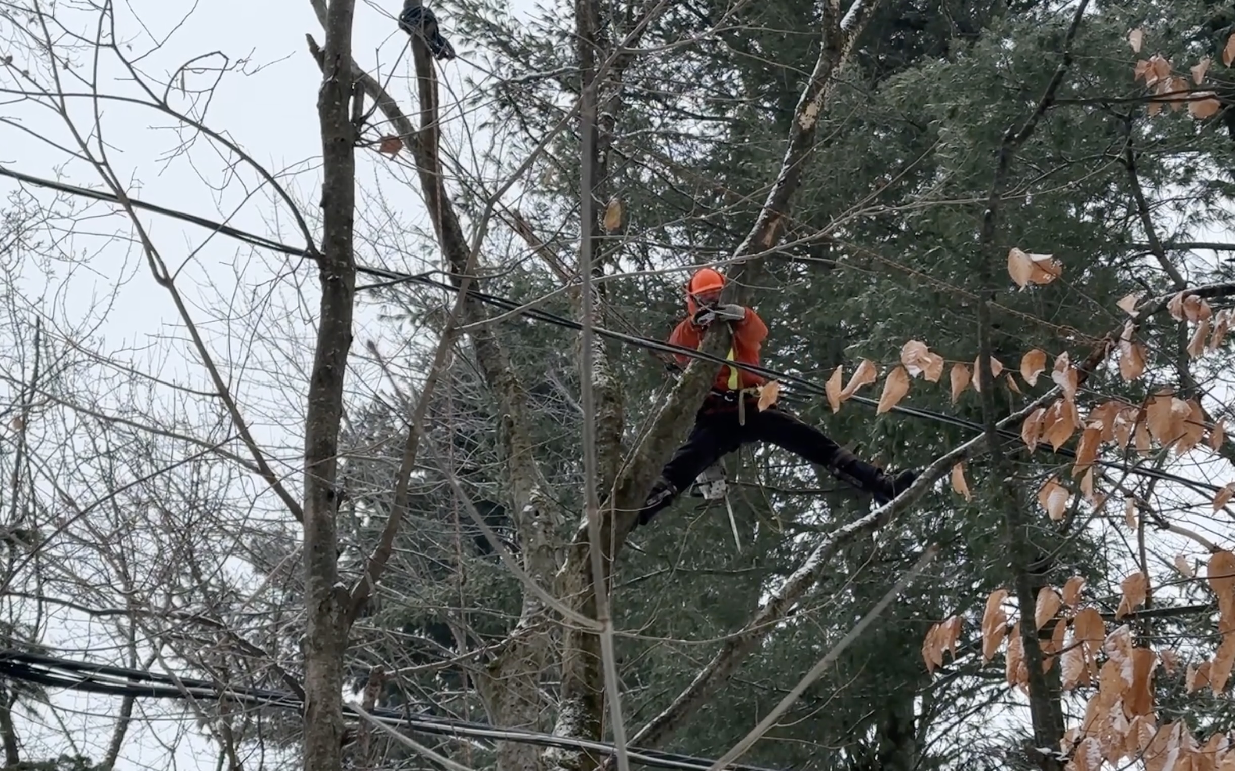 Pannes à Montréal: Hydro-Québec peine à rétablir le courant après la vague de froid