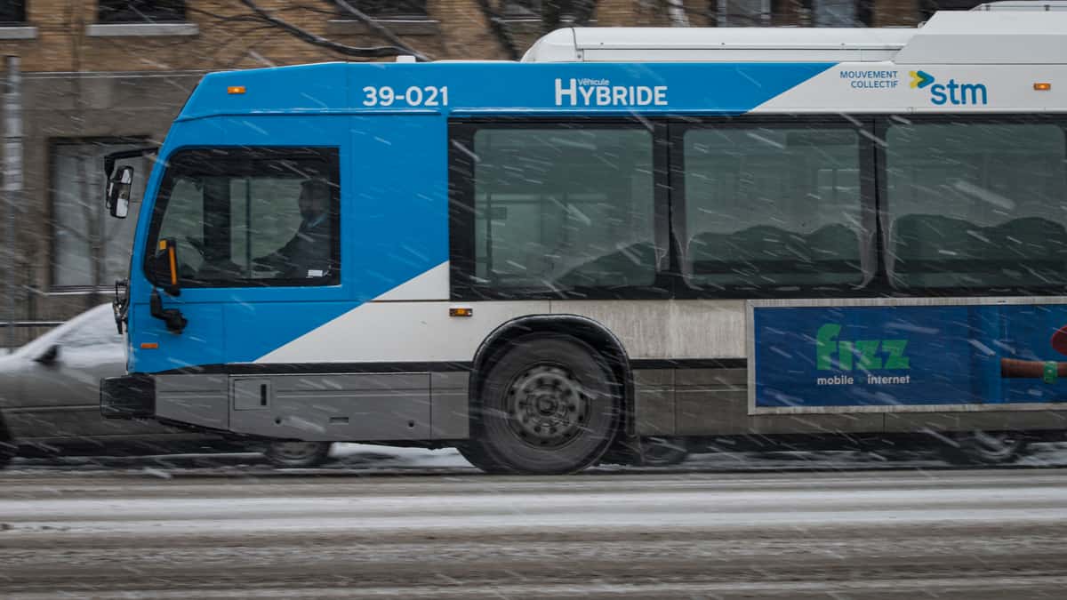 Crachats sur les chauffeurs et cellulaires bruyants: l’incivilité omniprésente dans les autobus de la STM, selon un employé