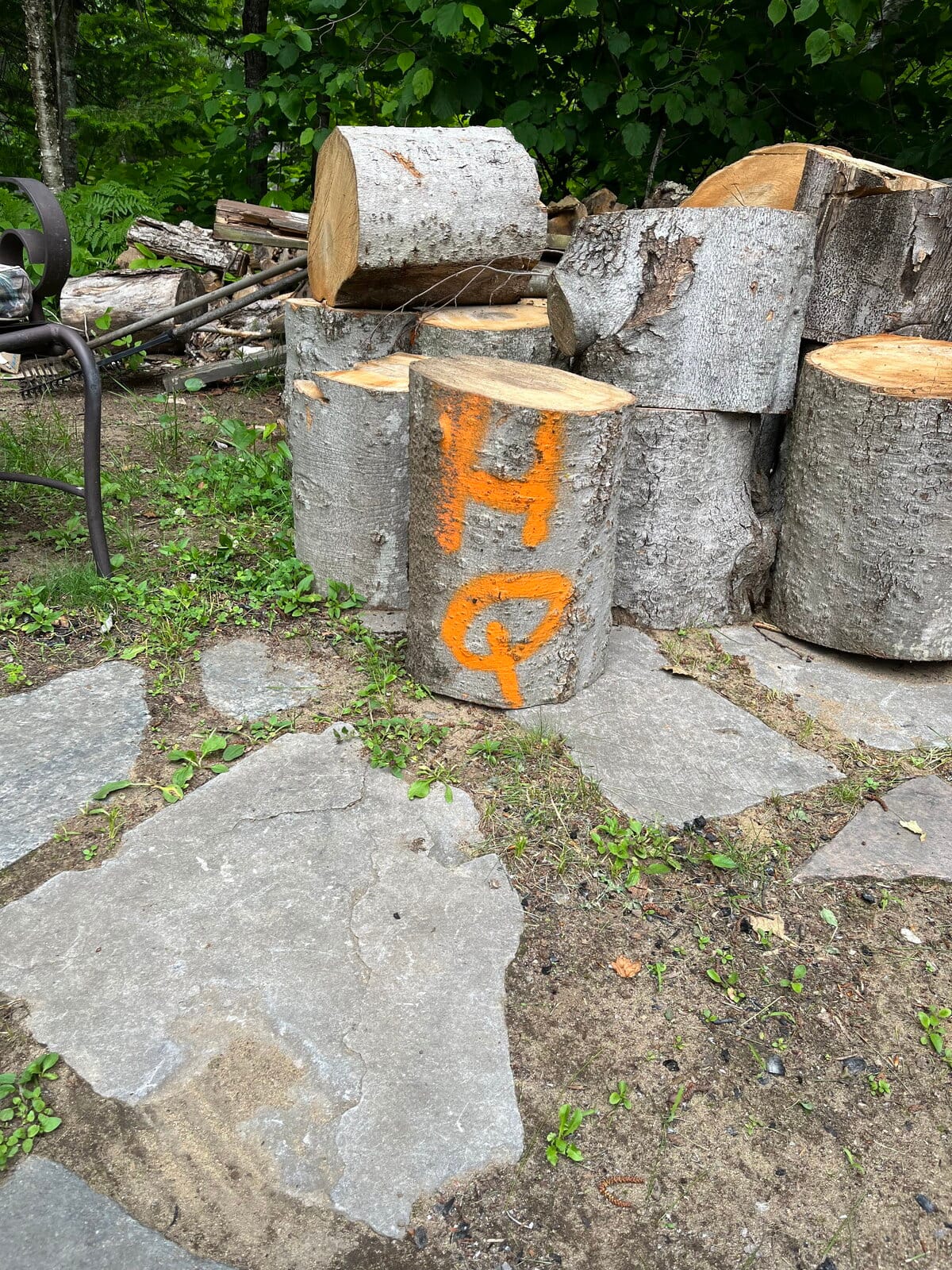 Hydro-Qu&eacute;bec envisage de facturer des co&ucirc;ts aux propri&eacute;taires qui refusent les coupes d&rsquo;arbres sur leur terrain