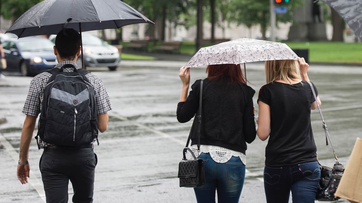 Météo du jour: un peu de pluie pour faire baisser l’humidex