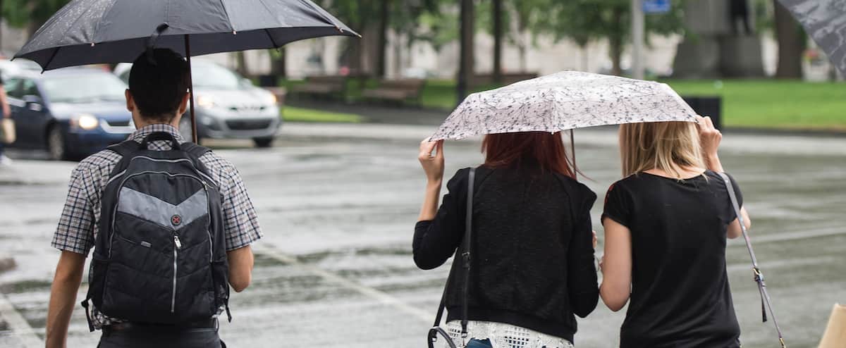 El Niño: Towards Schnouty Summer in Quebec? El Niño: Towards Schnouty Summer in Quebec?