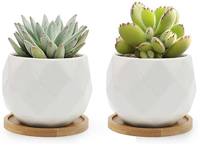 Top 10 Hostess Gift for Pool Party, Summer Hostess Gift 2020