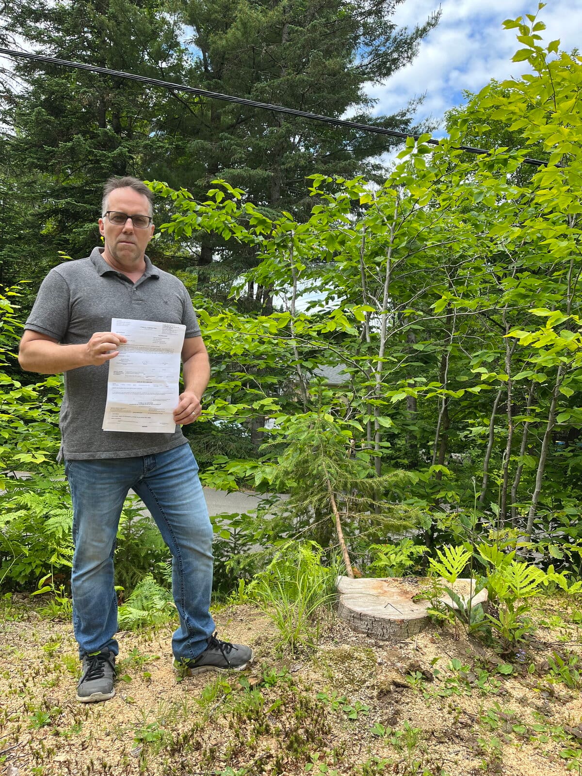 Une amende de 1426$ pour un arbre coup&eacute; par Hydro-Qu&eacute;bec sans la permission de la Ville