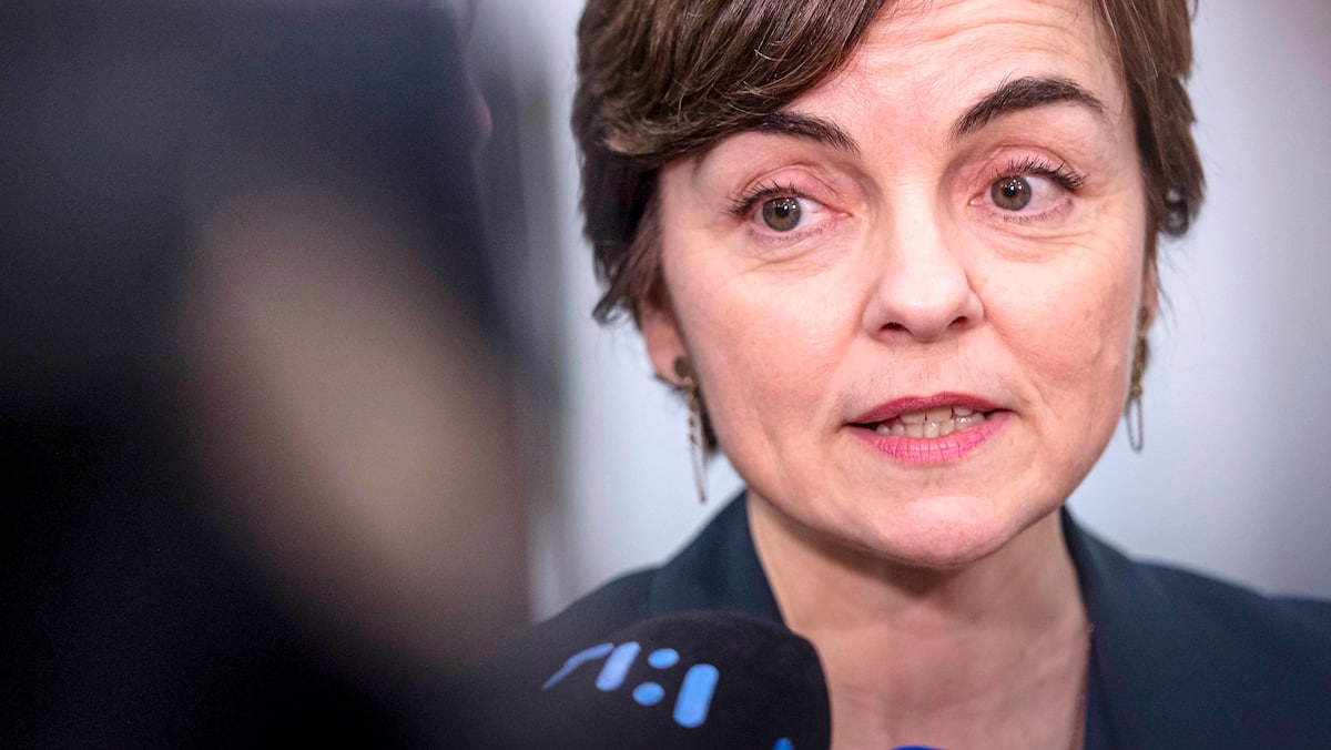 Course à la chefferie de la CAQ: Christine Fréchette, officiellement ...