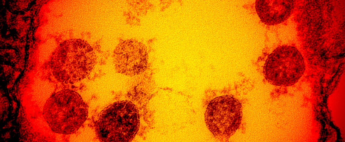 Collective immunity is not a solution 1