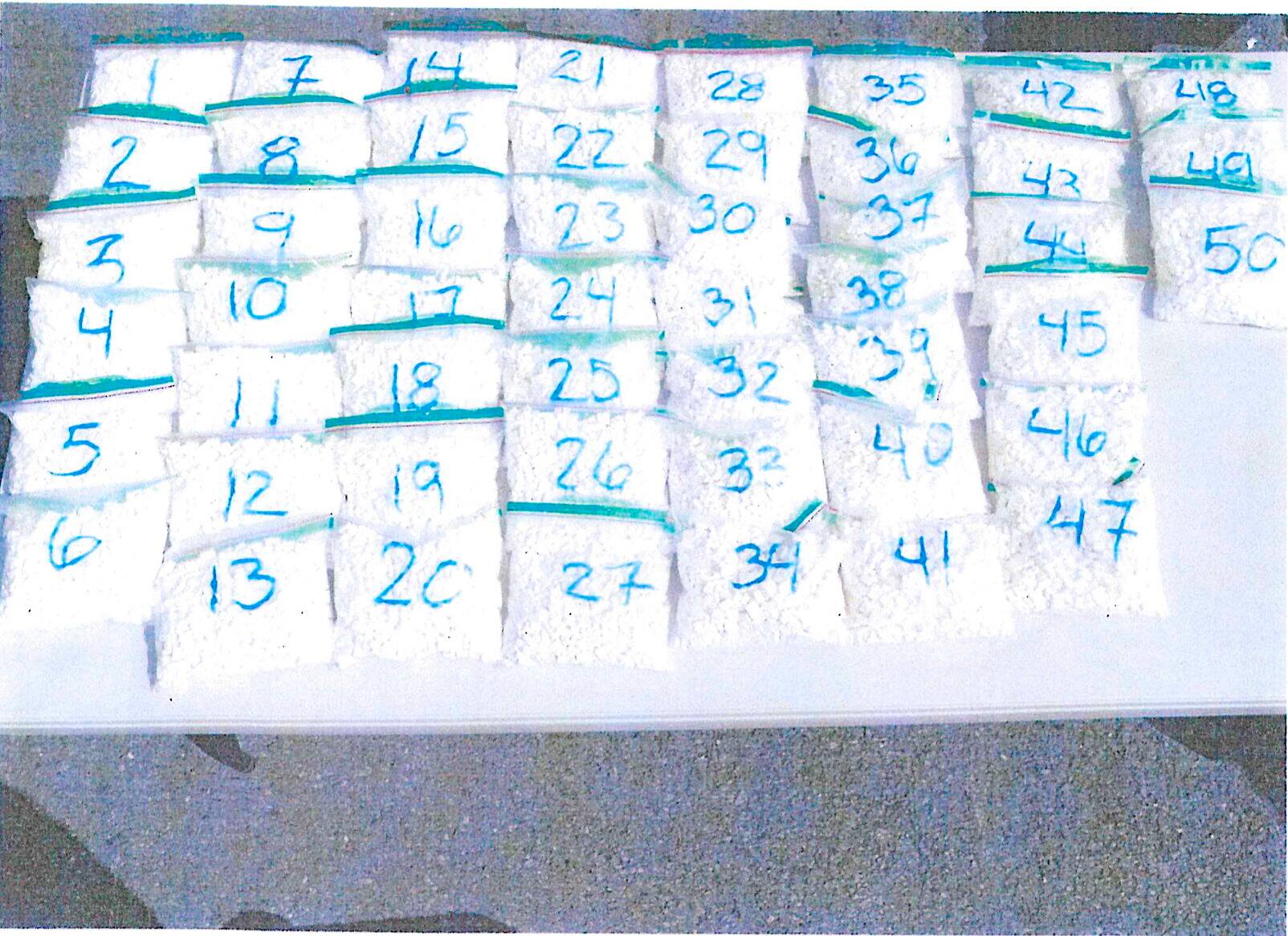 Carl St-Louis y Kevin 