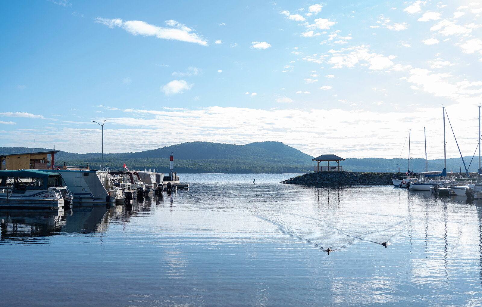 Entrée du chapitre 1