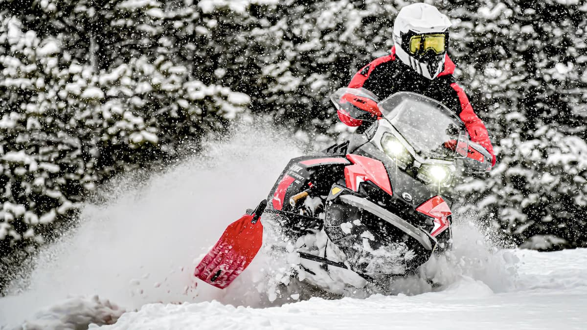 Lynx Racing Atlantic's Lynx takes up more space in North America – Archyde
