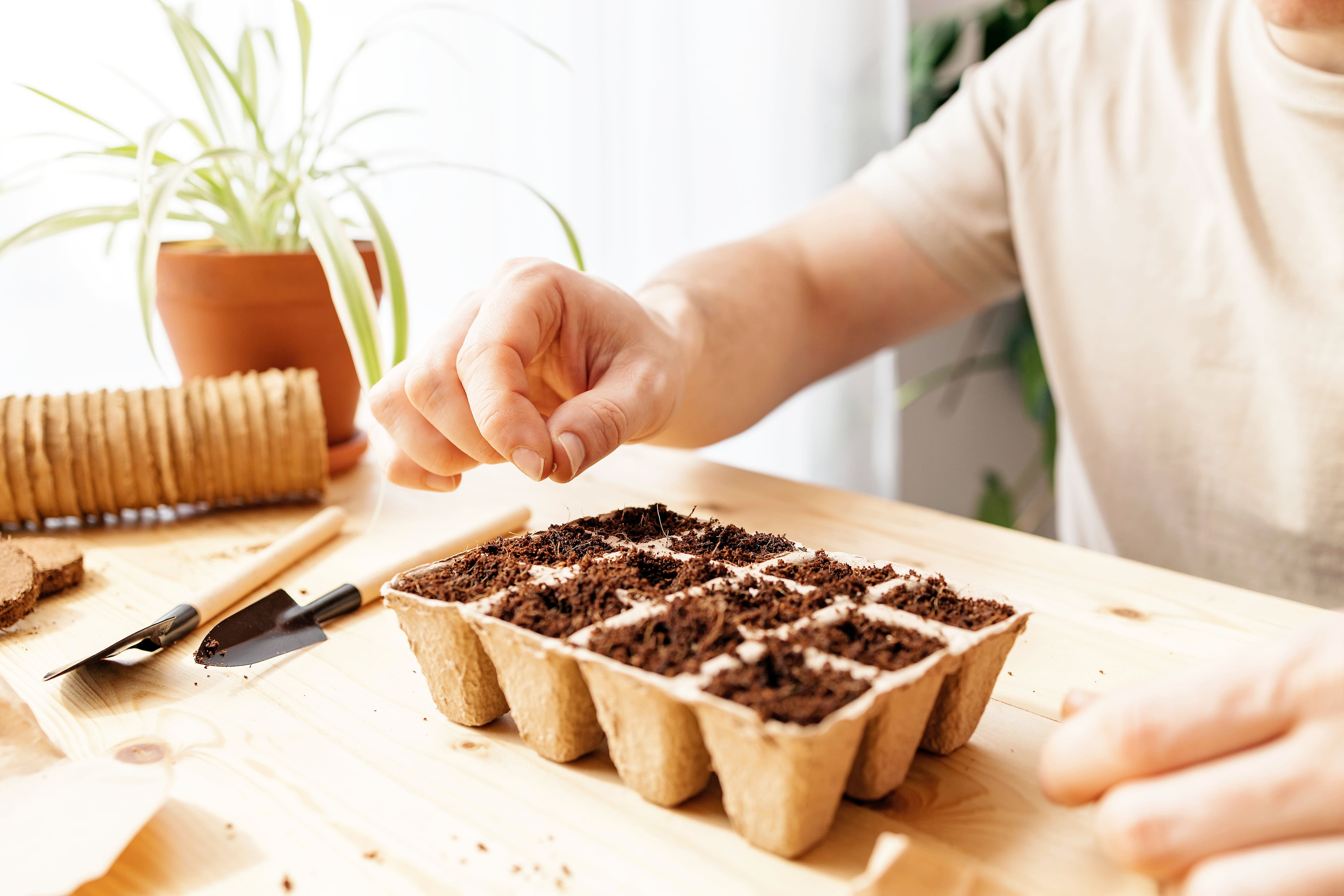 Les meilleurs et les pires trucs pour le jardinage