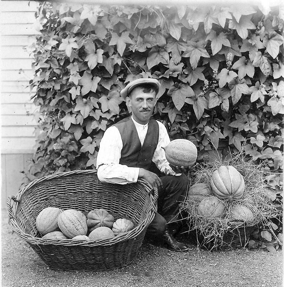 La fabuleuse histoire du melon de Montréal JDM