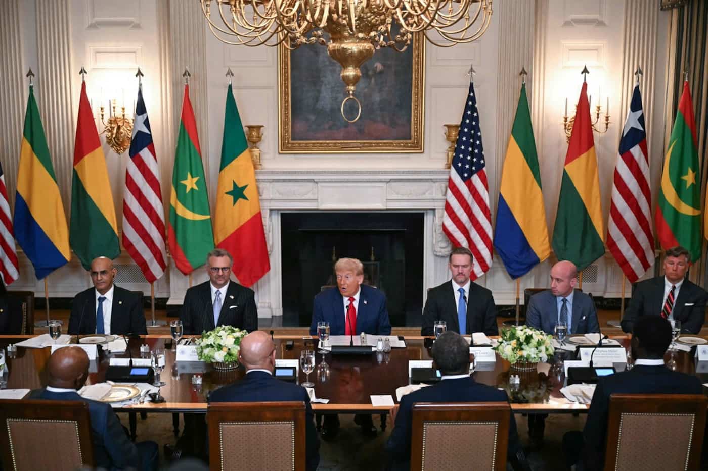 Trump reçoit cinq présidents africains à la Maison-Blanche | JDQ
