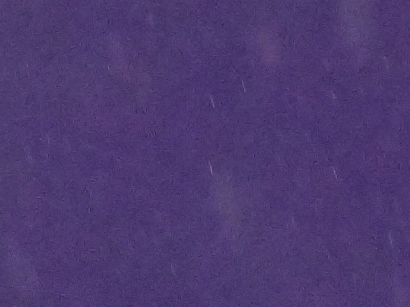 Jeux olympiques : « Je suis quasiment à 100 pour cent » 