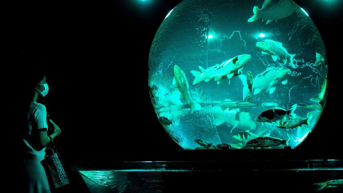 EN DIRECT | Les derniers développements sur le coronavirus