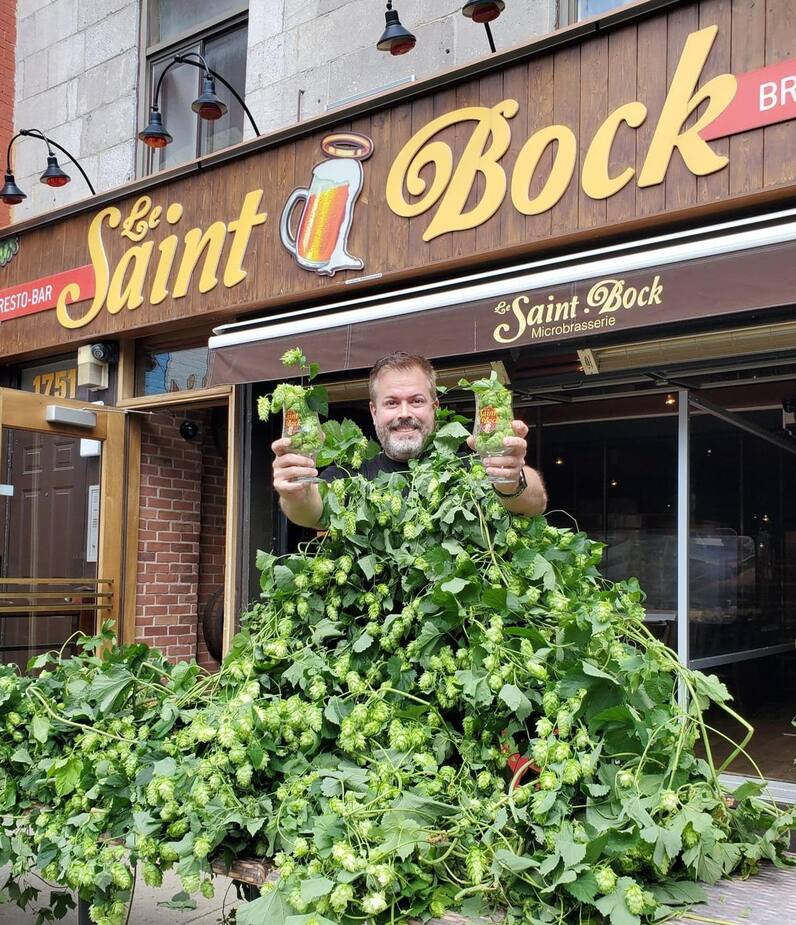 Image principale de l'article Une bière brassée avec votre houblon ?
