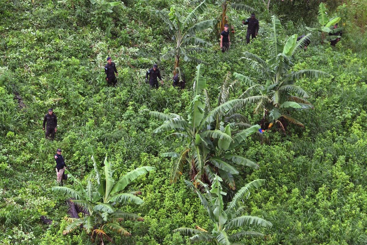 Euthanasia of ex-police officer exposed to long-term glyphosate in Colombia