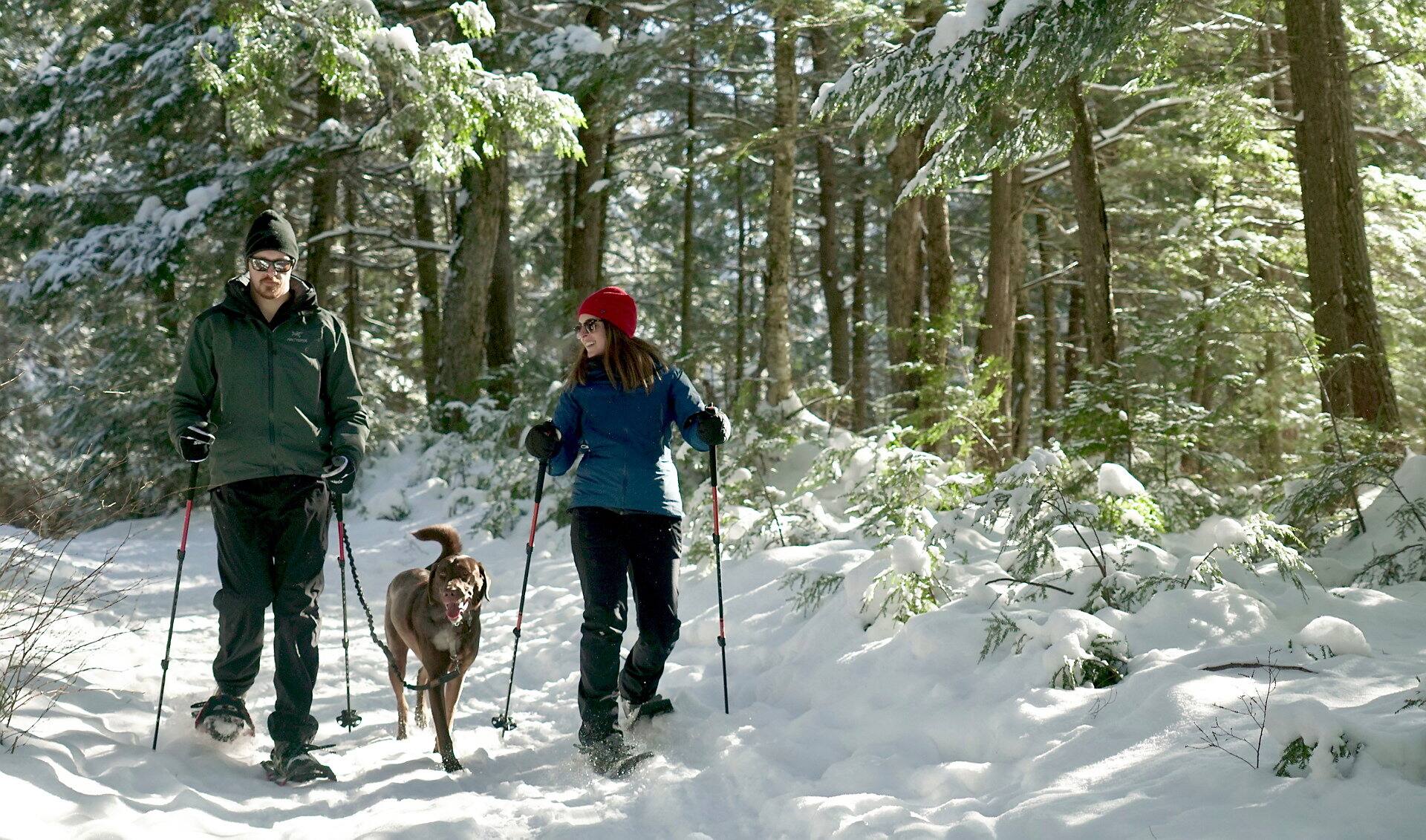 Une for&ecirc;t pas comme les autres dans le Centre-du-Qu&eacute;bec