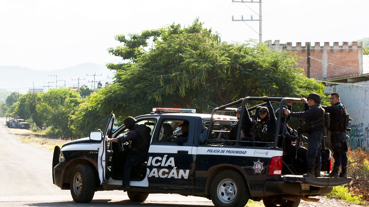 8 bodies discovered in a Mexican national park 8 bodies discovered in a Mexican national park