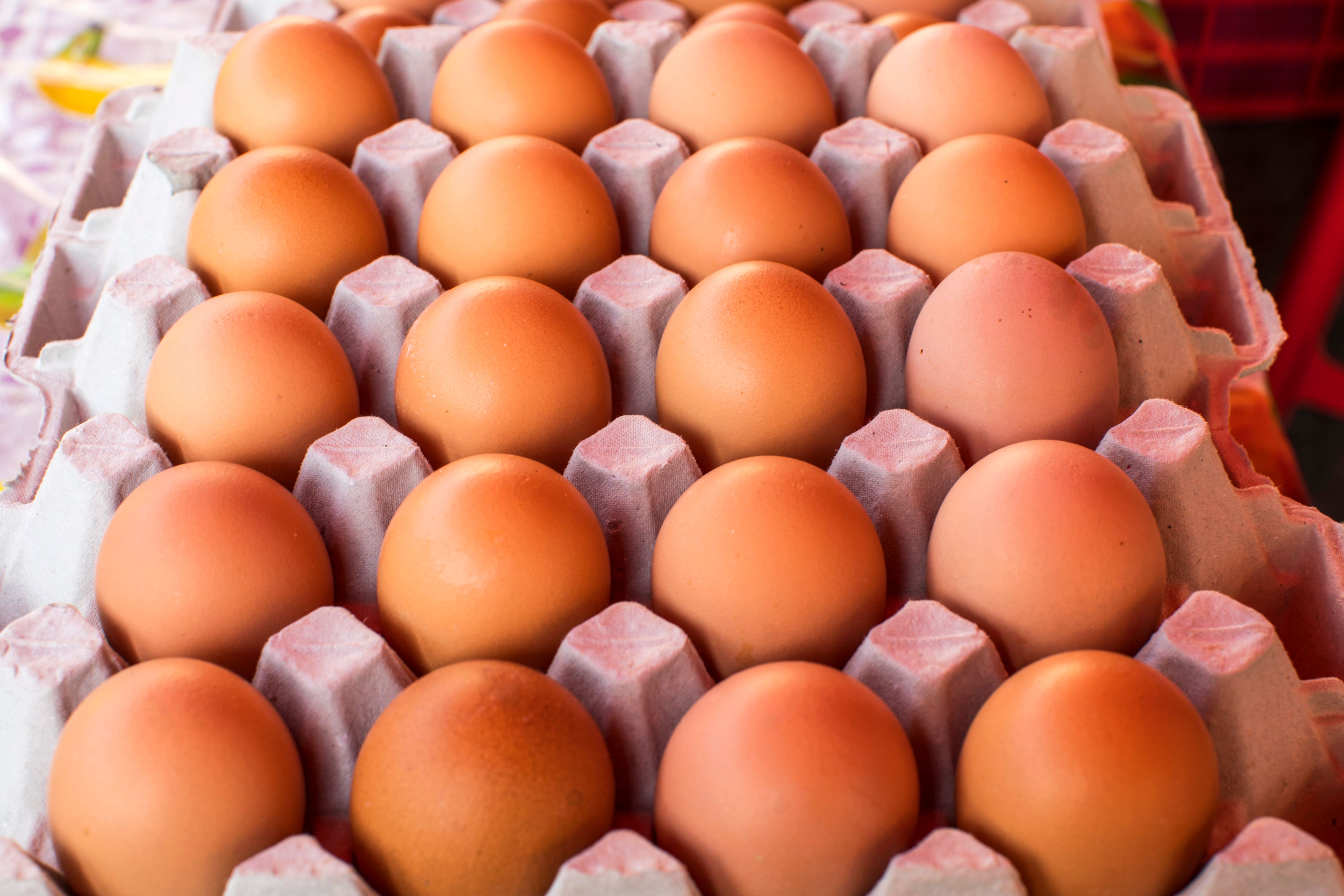 «Il manque d'oeufs à peu près partout»: un conflit de travail méconnu aux impacts sous-estimés
