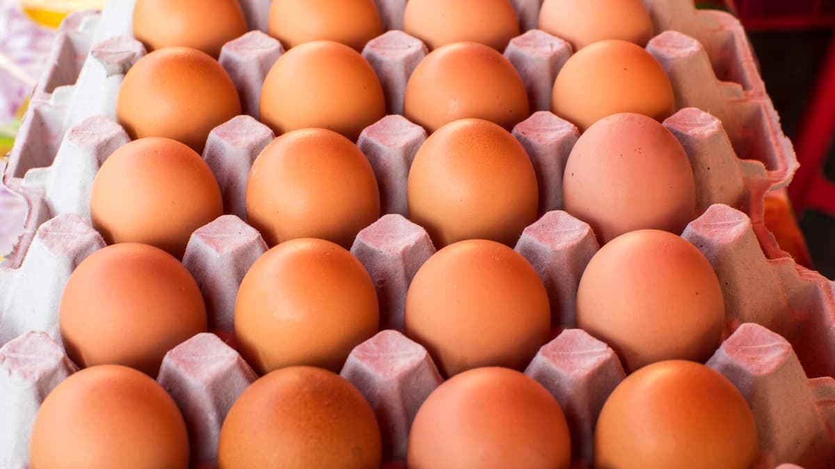 «Il manque d'oeufs à peu près partout»: un conflit de travail méconnu aux impacts sous-estimés