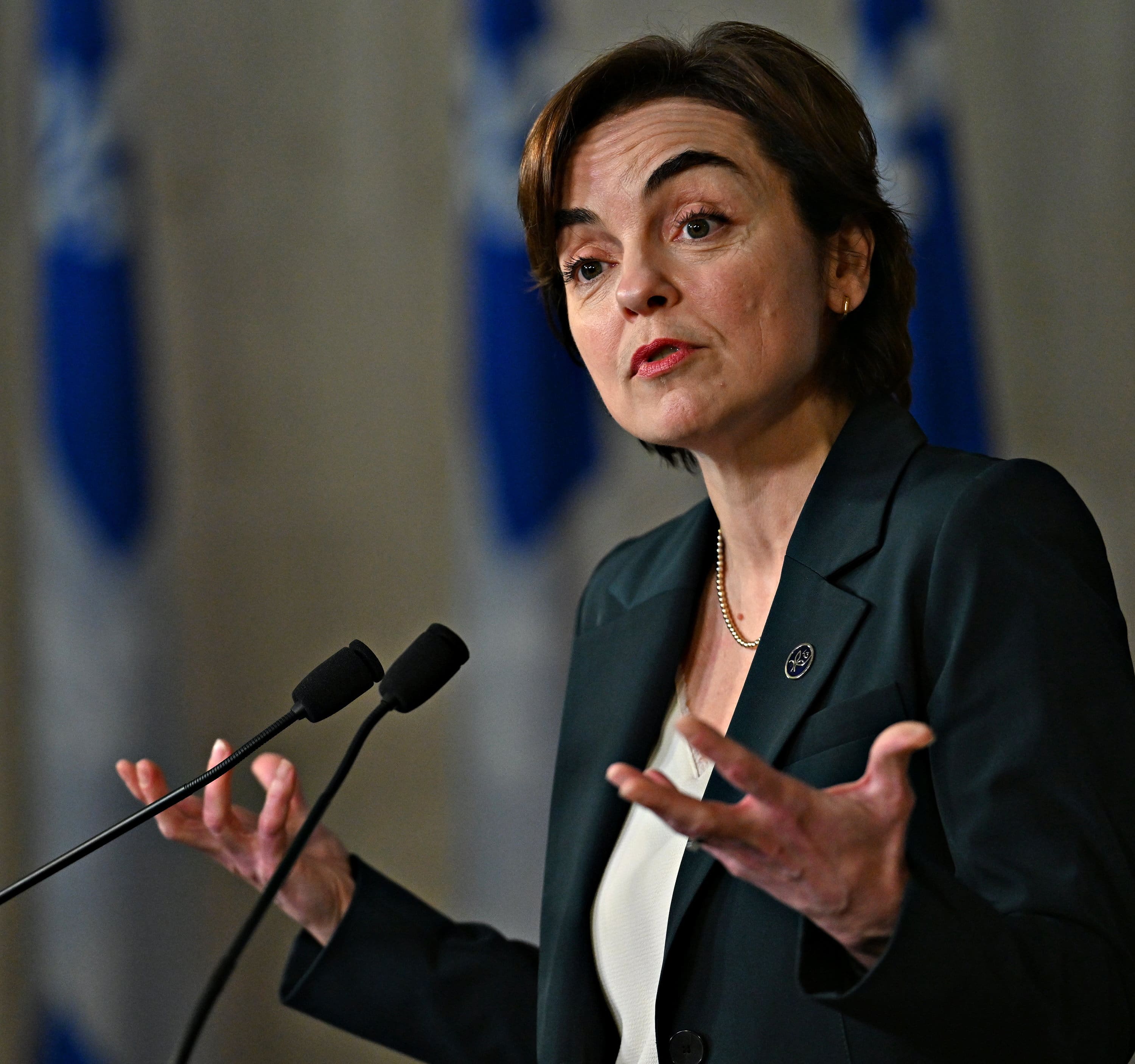 Christine Fréchette devant un premier test de cohérence