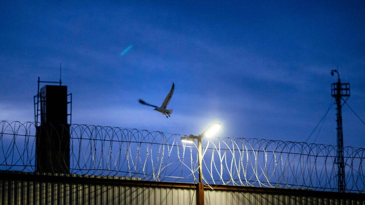 Viols organisés dans les prisons russes : un ex-détenu lance l'alerte