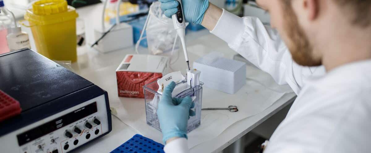 COVID-19 cure: encouraging results from drug on animals 1