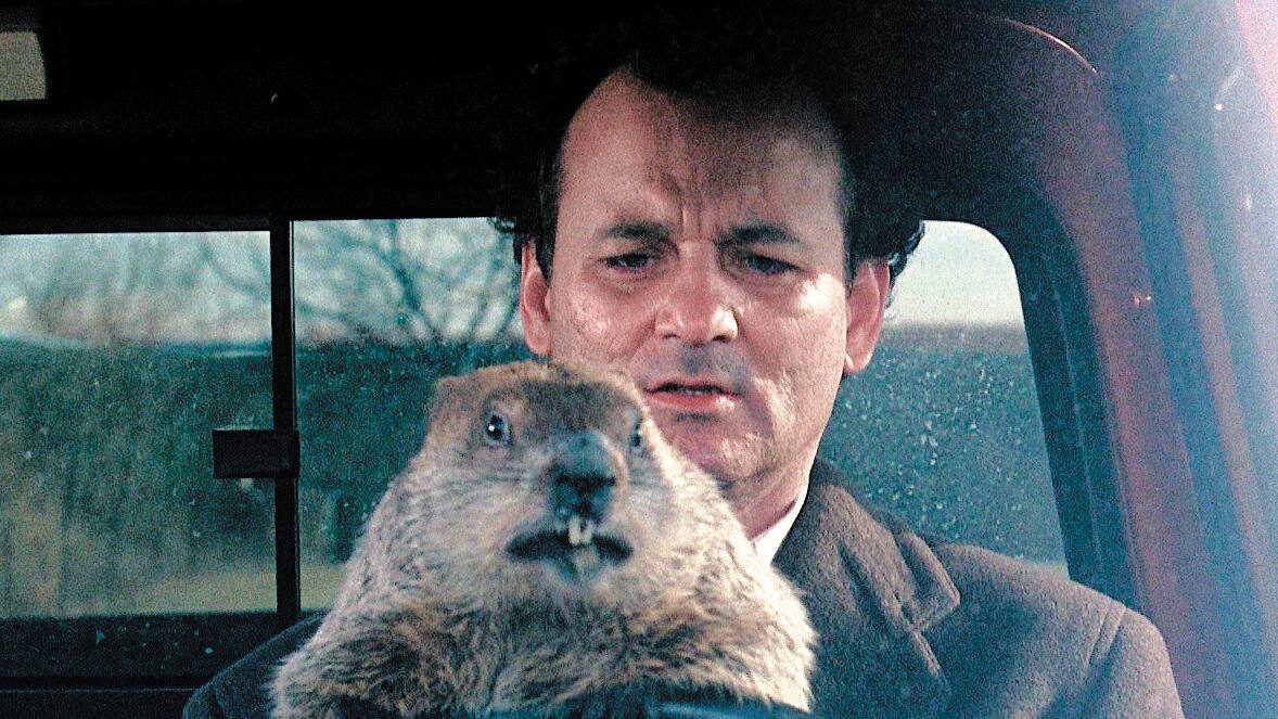 7 films qui font du bien Le Journal de Montréal