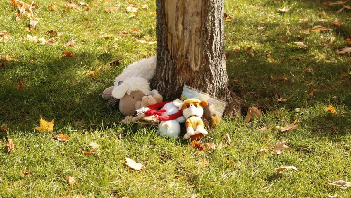 Investigations into the murders of the boys 1