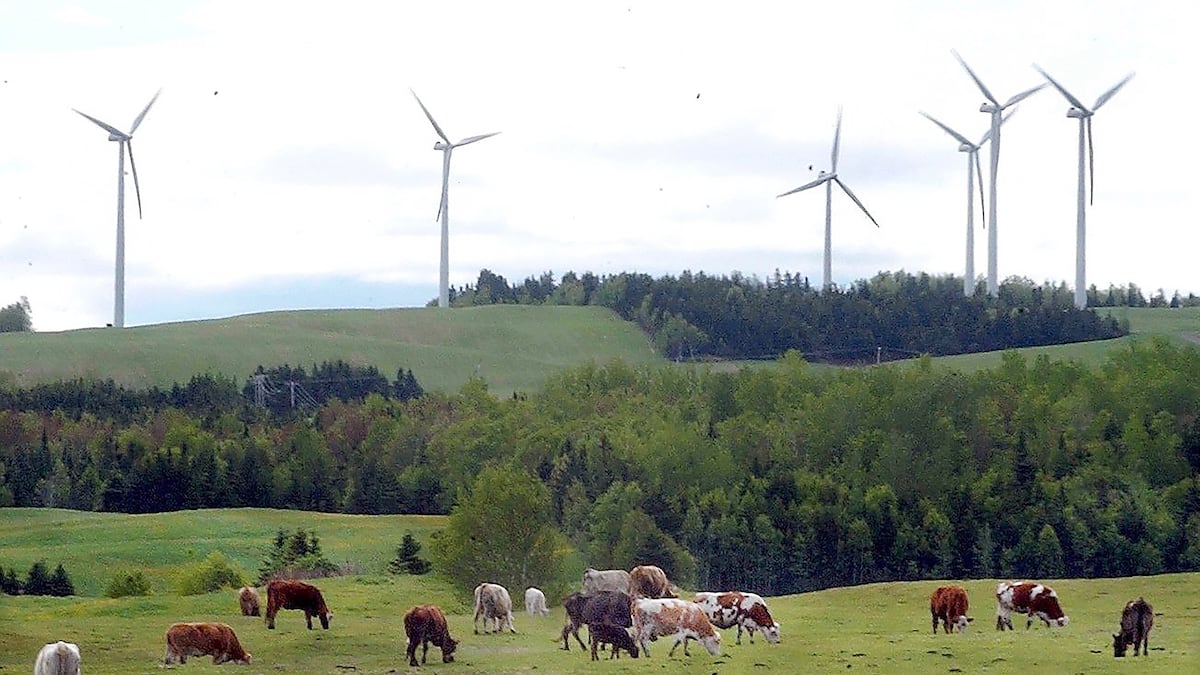 Le premier mégaparc éolien d’Hydro apparaîtra au Lac-Saint-Jean