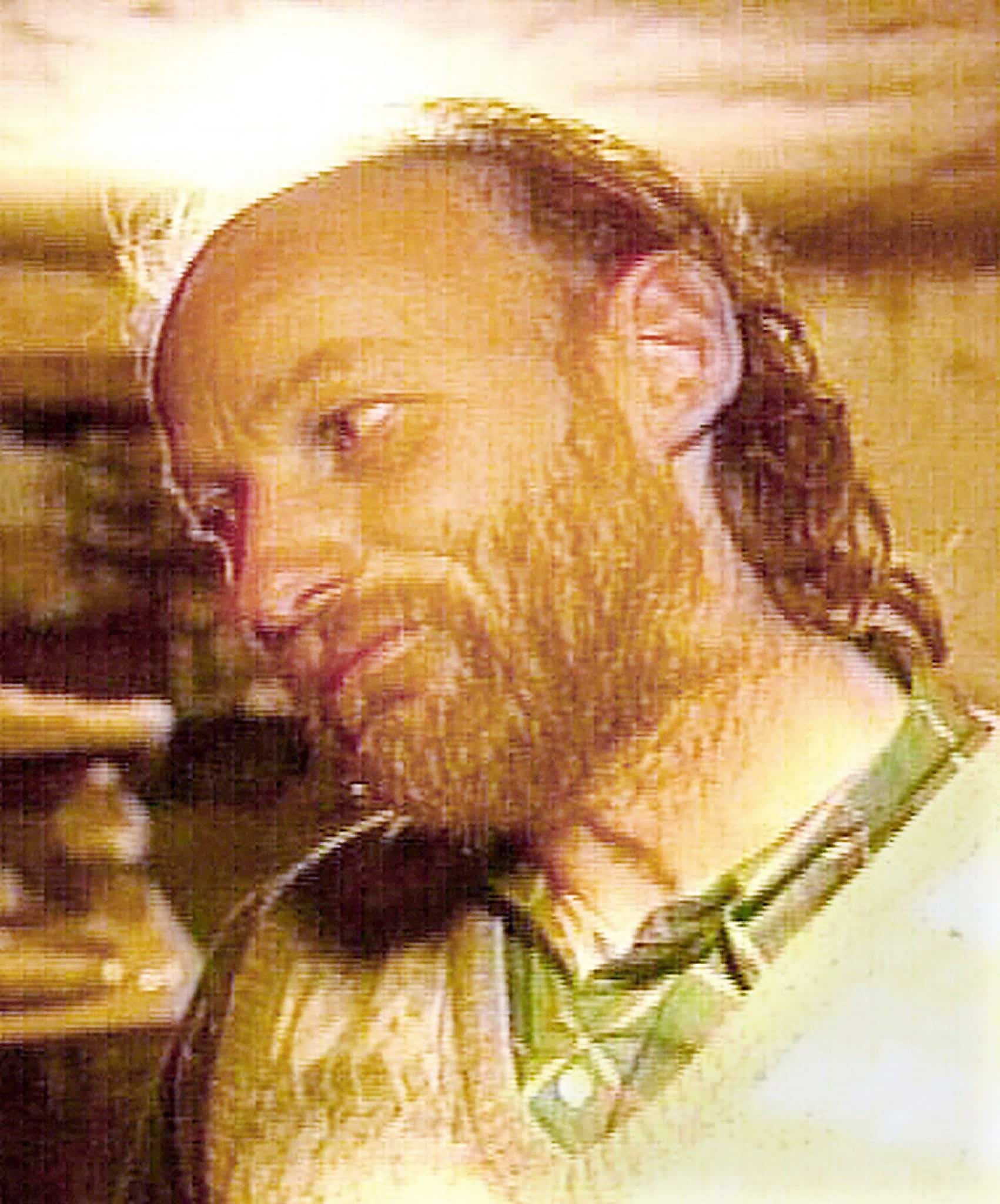 Qui est Robert Pickton, le tueur en s&eacute;rie qui s&rsquo;est fait enfoncer un manche de balai dans le nez en prison?