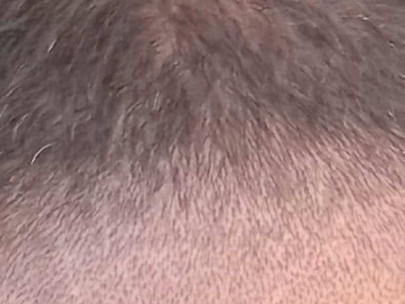  « Celle - là est belle comparée à ce que je vois dhabitude »: « Le Journal » a visité des maisons neuves avec un inspecteur en bâtiment et ses constats sont accablants