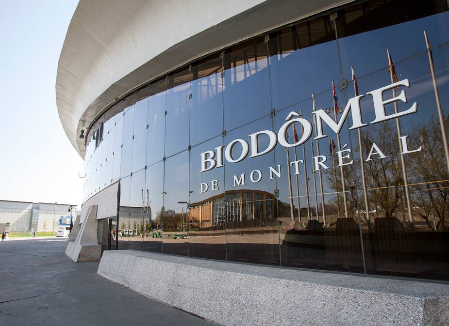 Image principale de l'article Le Biodôme de Montréal reporte son ouverture