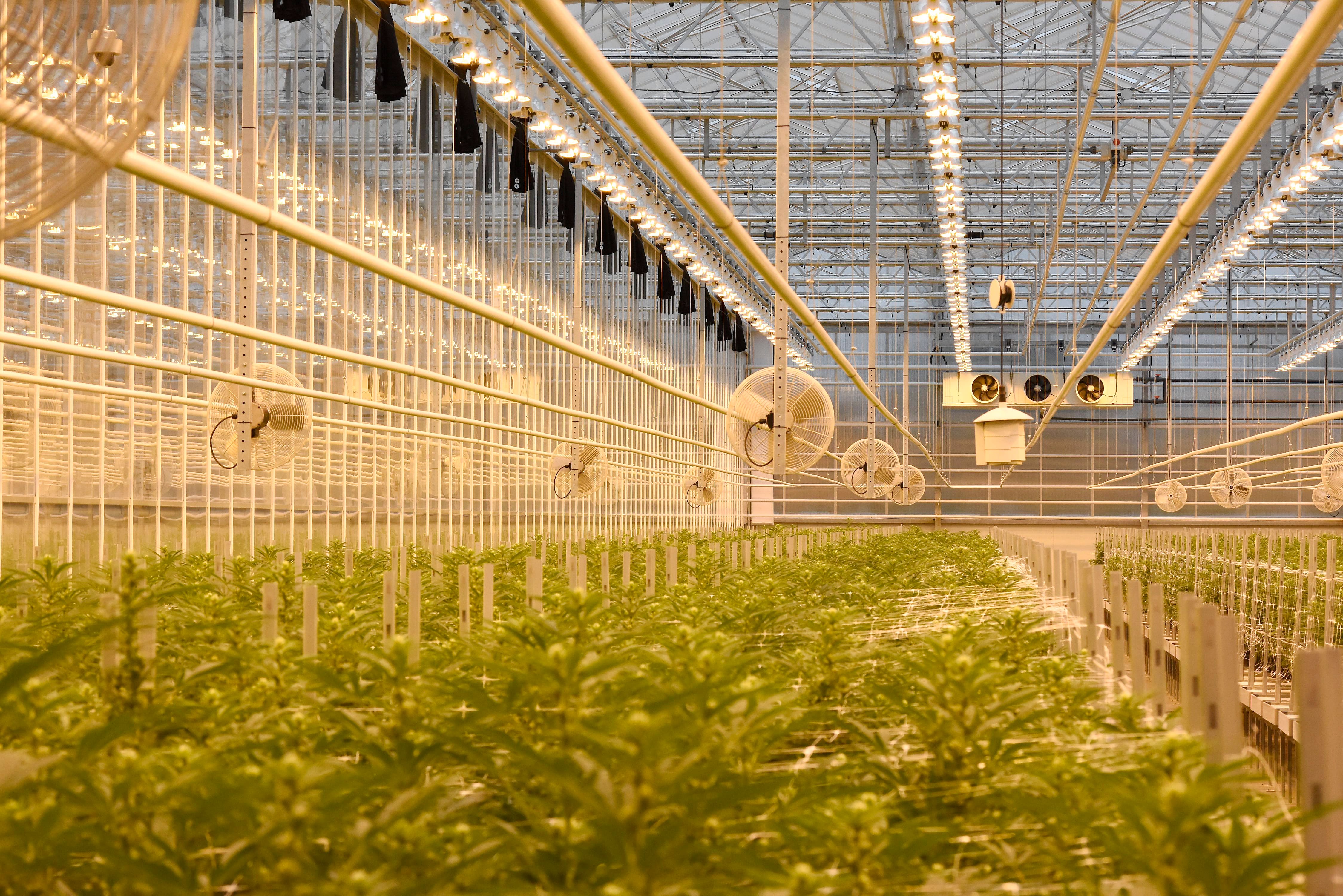 Qu&eacute;bec a discut&eacute; d&rsquo;une aide financi&egrave;re &agrave; l&rsquo;entreprise HEXO